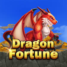Dragon Fortune