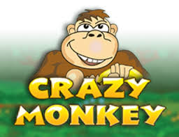 Crazy Monkey