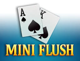 MiniFlush