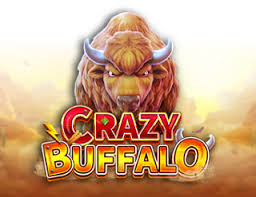 Crazy Buffalo
