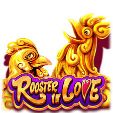 Rooster In Love