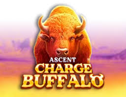 Charge Buffalo-ASCENT